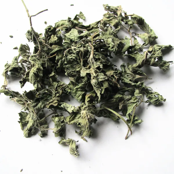 Dried Mint Leaves  (5).JPG