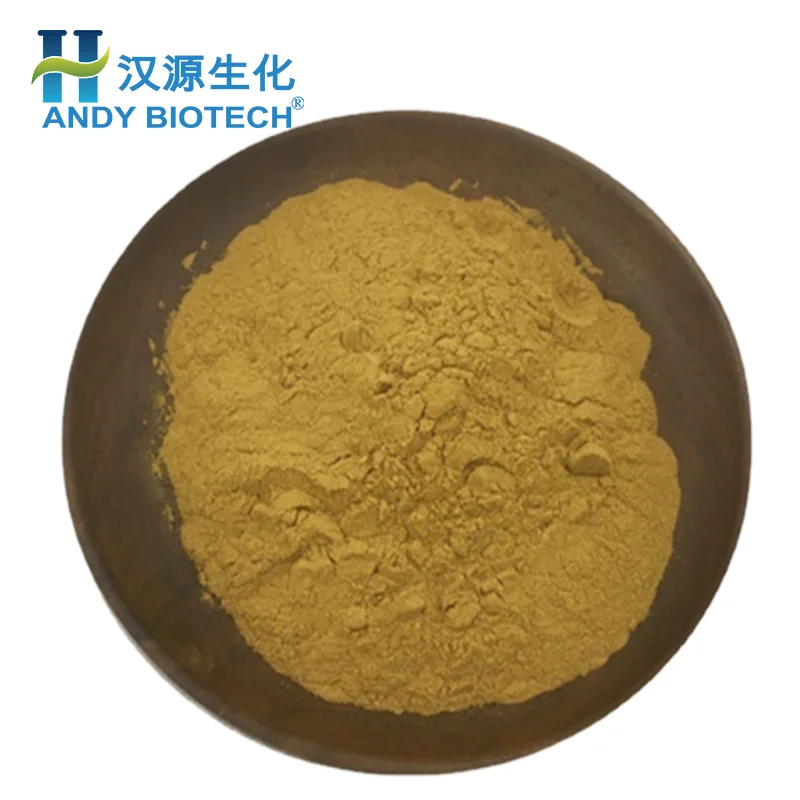 Top Quality Radix Aucklandiae Extract Costus Root Extract Powder