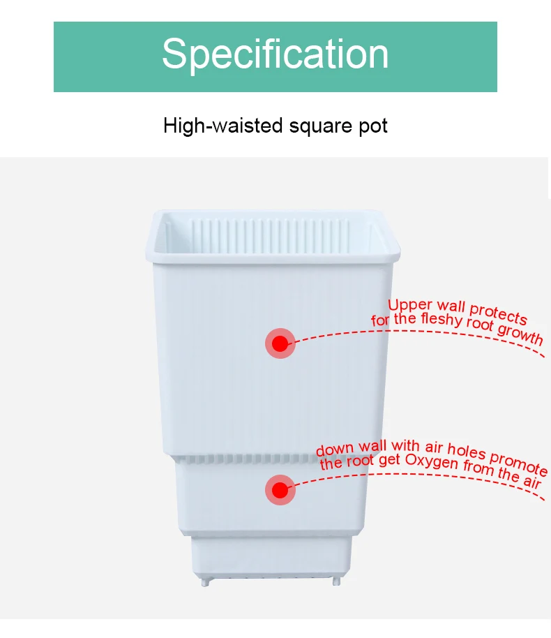 
Windowsill Herb Planter Box Rectangular Indoor Garden for Kitchens Grow Plants Flowers or Succulents 