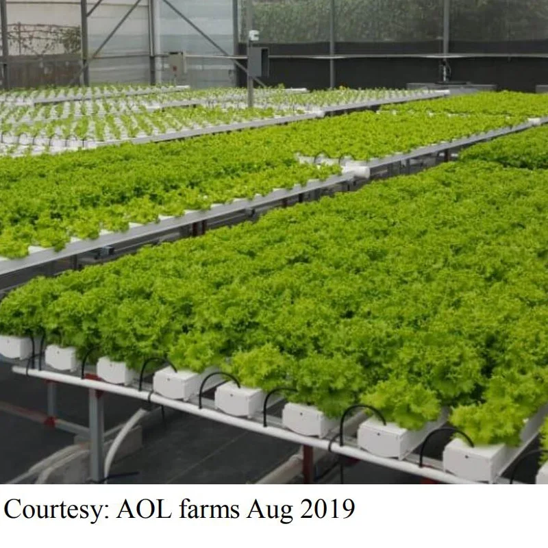 Aquaponics Growing System PVC Square NFT Pipe 100x50mm Greenhouse Hydroponics System Commercial hydroponics NFT Gully
