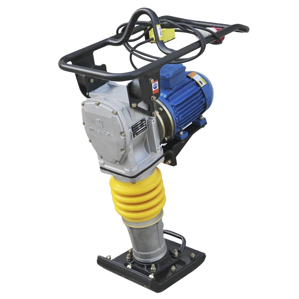  hot sale domestic gasoline engine Tamping