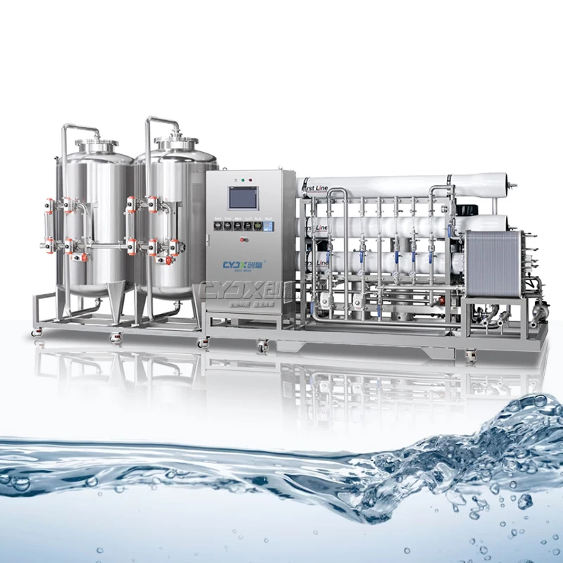 CYJX 500LPH Ultra Pure EDI+RO Deionized Water Treatment System