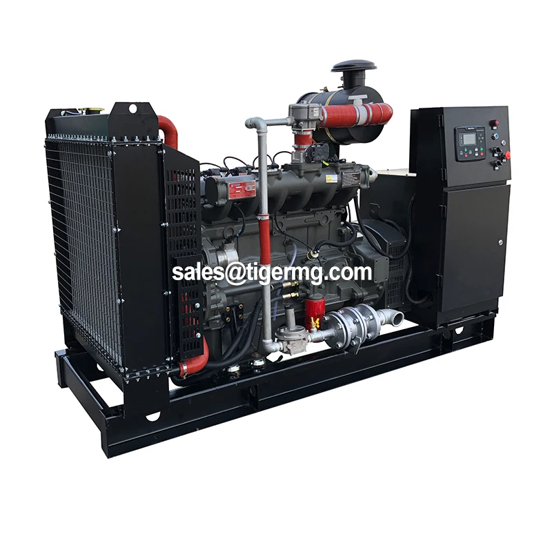 Hot sale stable quality quick delivery biogas to electricity generator China weifang 10kw to 90kw