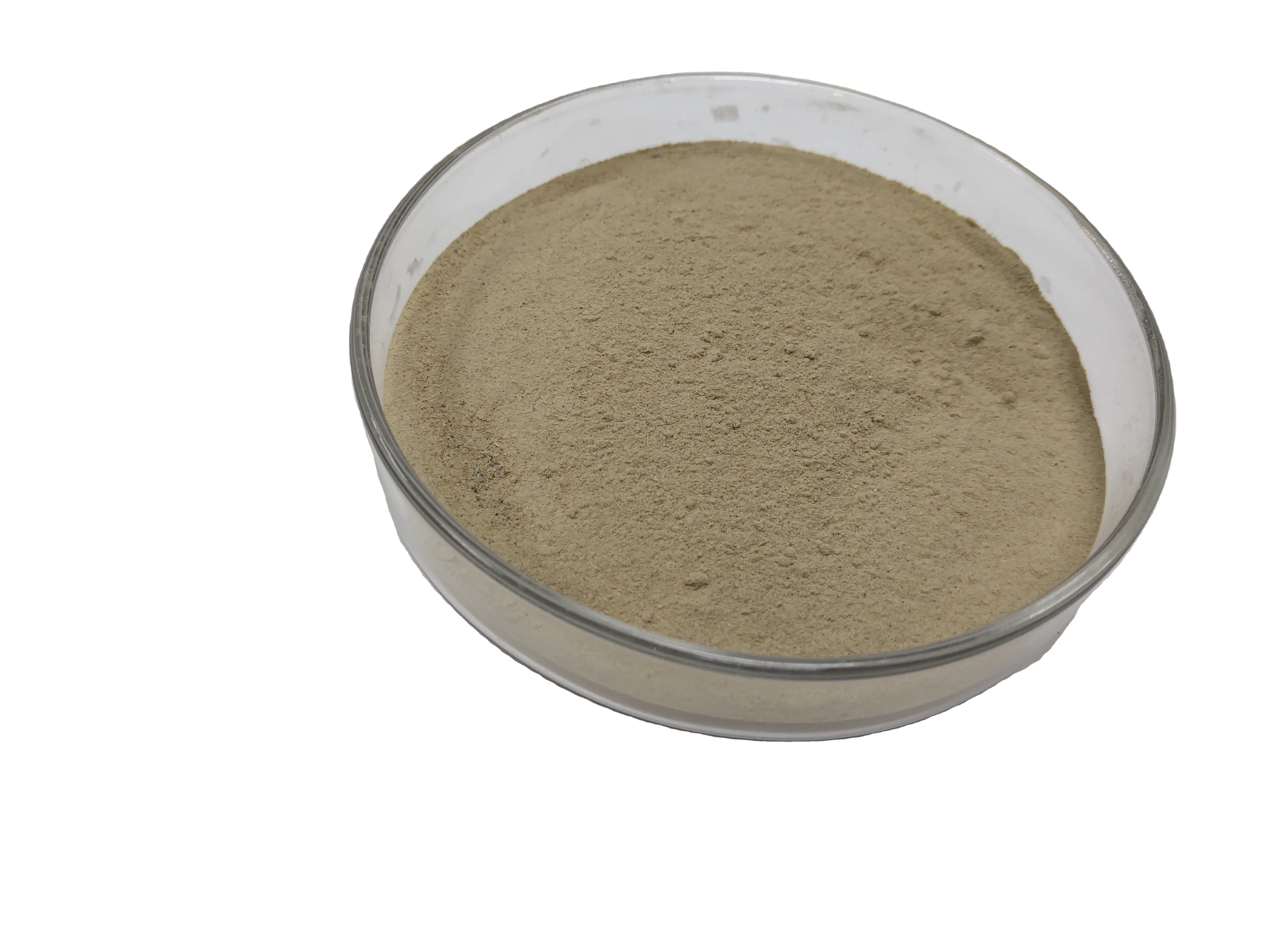 Factory Sale High Efficiency  compound feed enzymes  feed additive  broiler layer piglet use