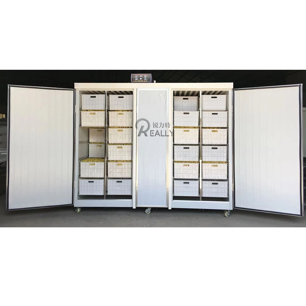 Multi Layered Good Performance Automatic Bean Sprout Growing Machine Commercial Mung Bean Sprout Machine