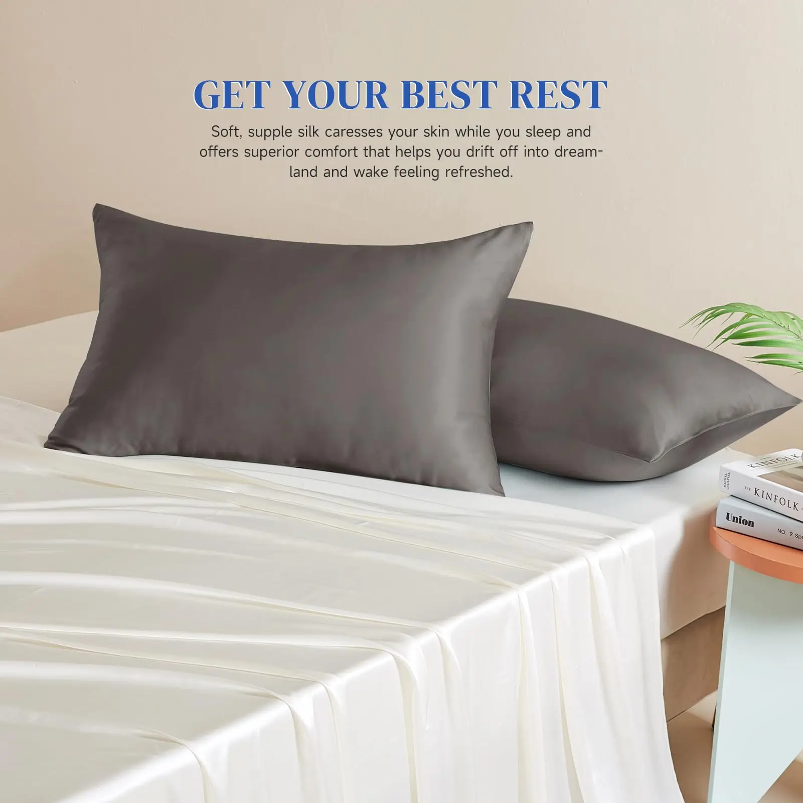 Taihu Snow Silk 25 Momme 100% Mulberry 6A Grade Silk Pillowcase With Gift Box For Hair And Skin