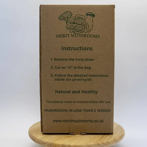 Короткий срок доставки большой черный жемчуг «спрей и рост» Набор для выращивания устриц грибов стартовый набор для выращивания почвы растений