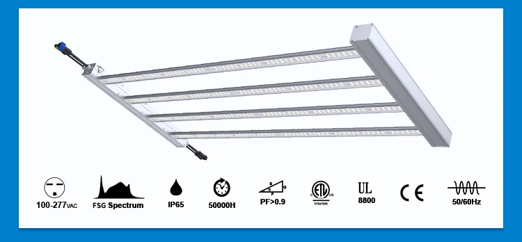 2.grow light.jpg
