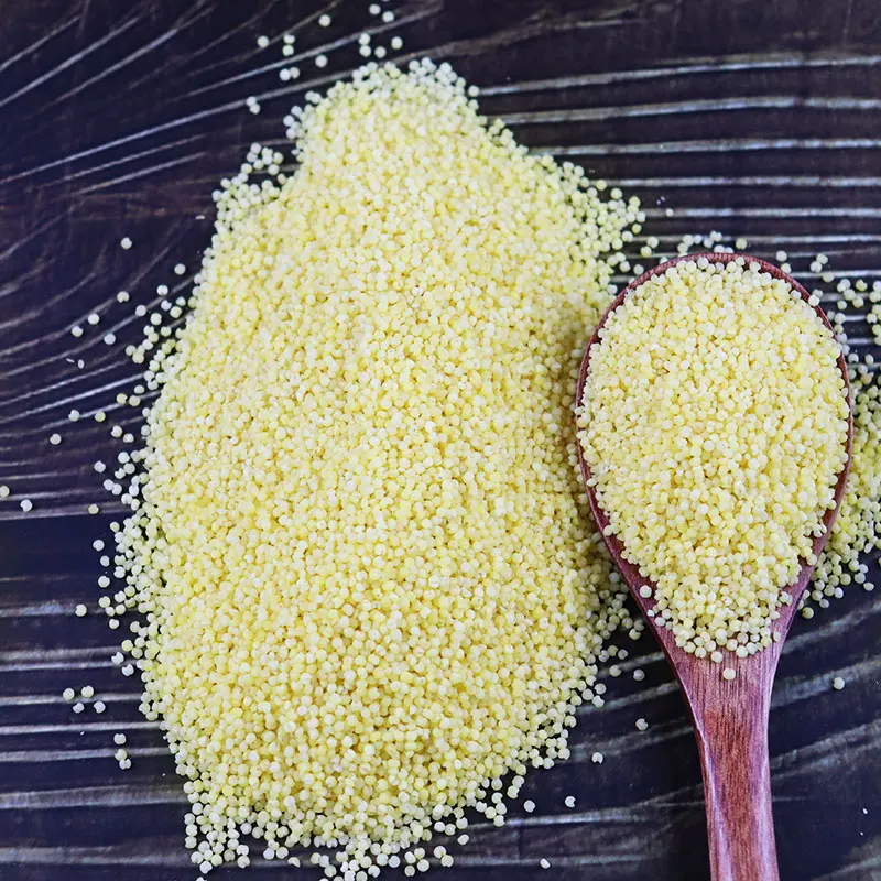 Nature yellow millet in husk For Bird Feeds Cheap polished millet groats White Red Black Yellow millet