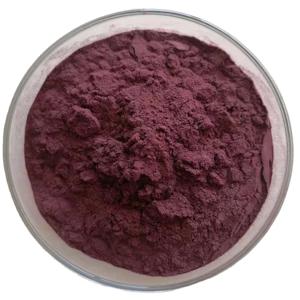 High Quality Organic Blackberry Anthocyanins 25% Anthocyanins Blackberry Extract