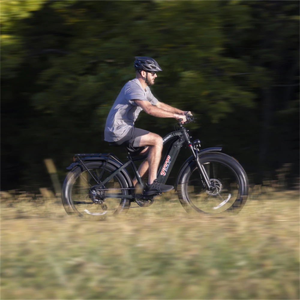 Original 750w Motor E Bike Shimano 10 Speed Electric Bicycle Fat Tire Electr Bike Cruiser Ebike