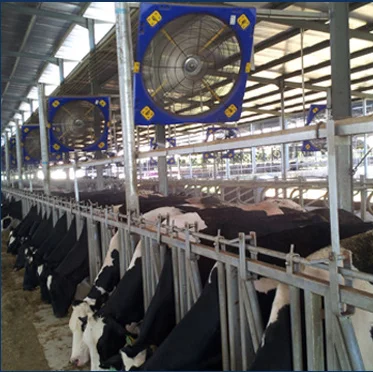 Dairy Farm Cooling Fan with Stainless Steel blades for calf and cattle in ranch