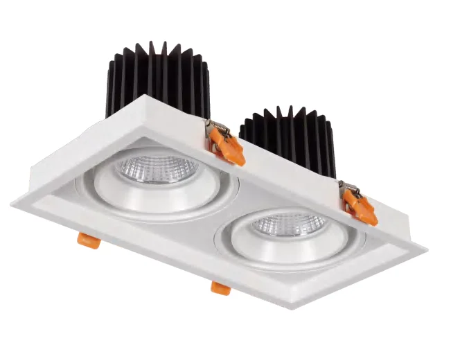 Commercial Double Lamps 30w Spot Lights Ceiling Recessed Die-casting Aluminum Cob Downlight