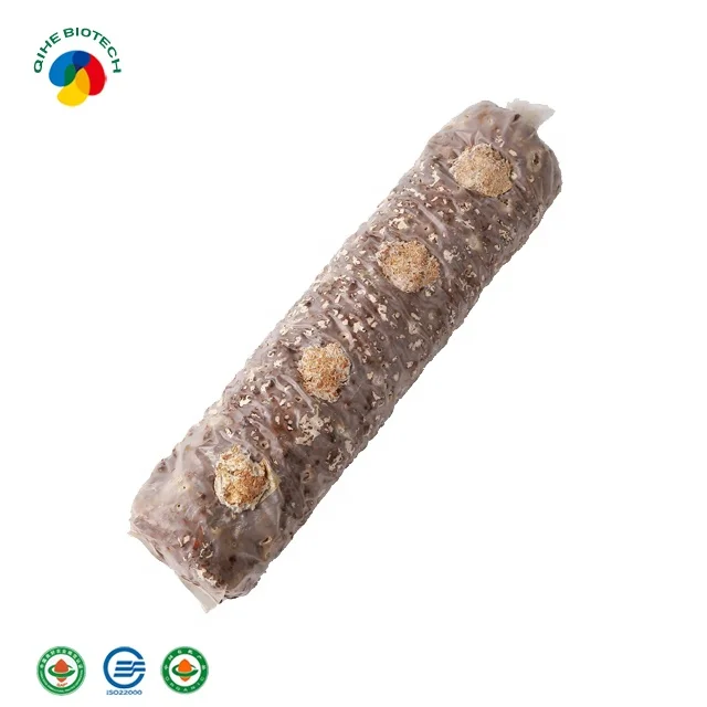 Семена грибов shiitake, палочки для выращивания в пакете, набор грибов shiitake, Заводская экспортная цена