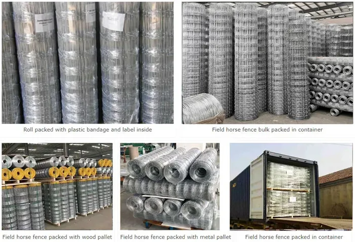 Sheep Goat frild fence3.jpg