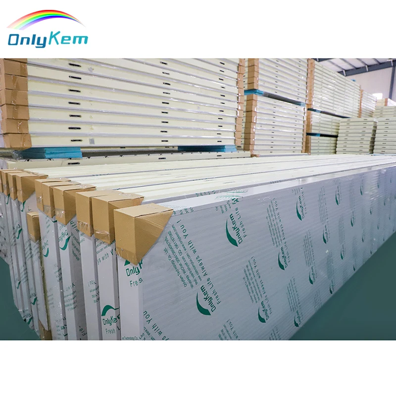 Cold Room Panel/Cold Storage Panel/PU Sandwich Panel