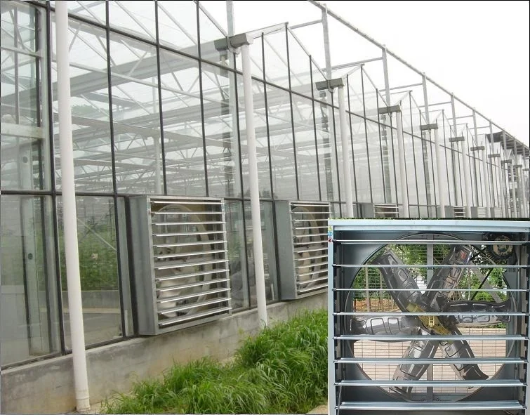 Farming equipment chicken house exhaust fan