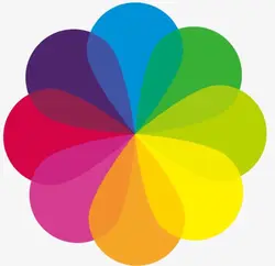 Factory Custom Mini Saute Pans Non Stick Frying Pan