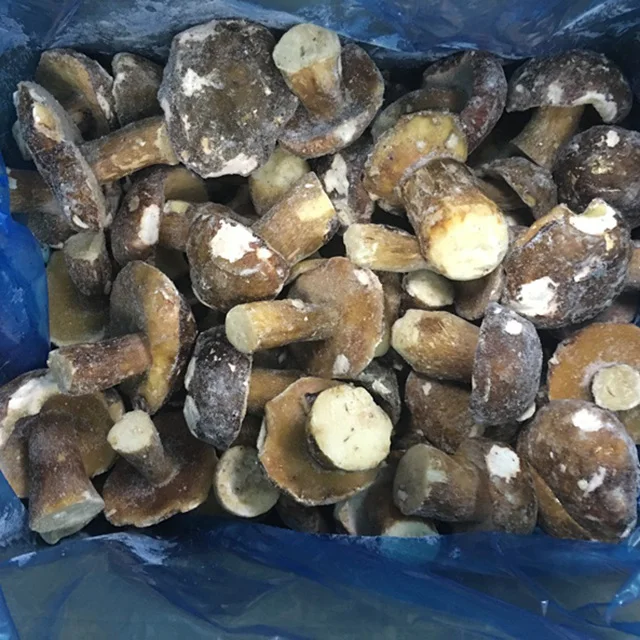 Дикие грибы IQF Boletus Edilus