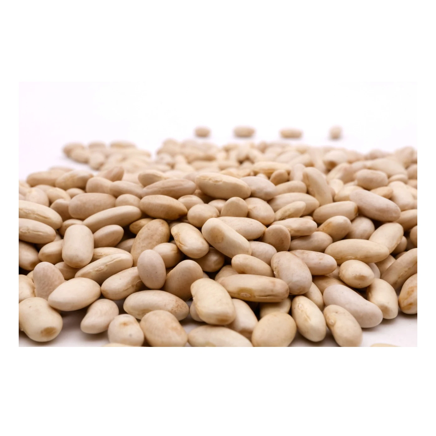 White Color Supplier Bulk Import Prices Dry White Beans Broad Beans For Sale