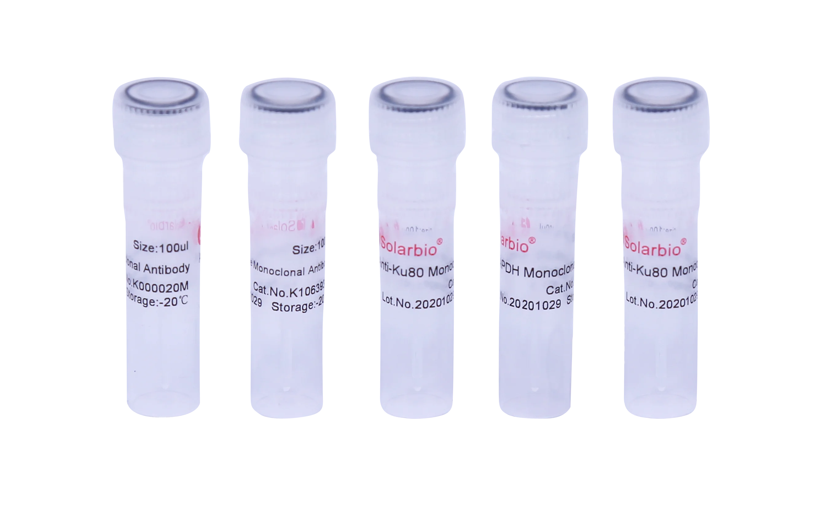 Высокое качество Anti-KDM1A моноклональное