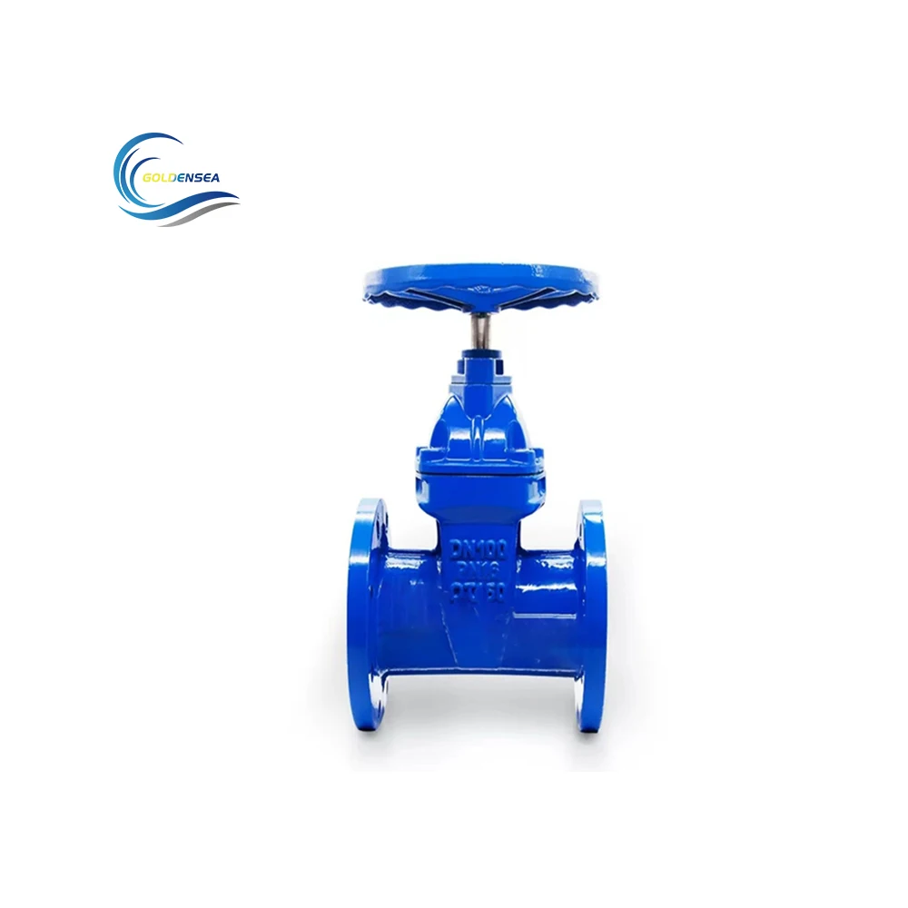 Cast Iron Customized Stem Ductile Iron Resilient Wedge Disc Seat Gate Valve
