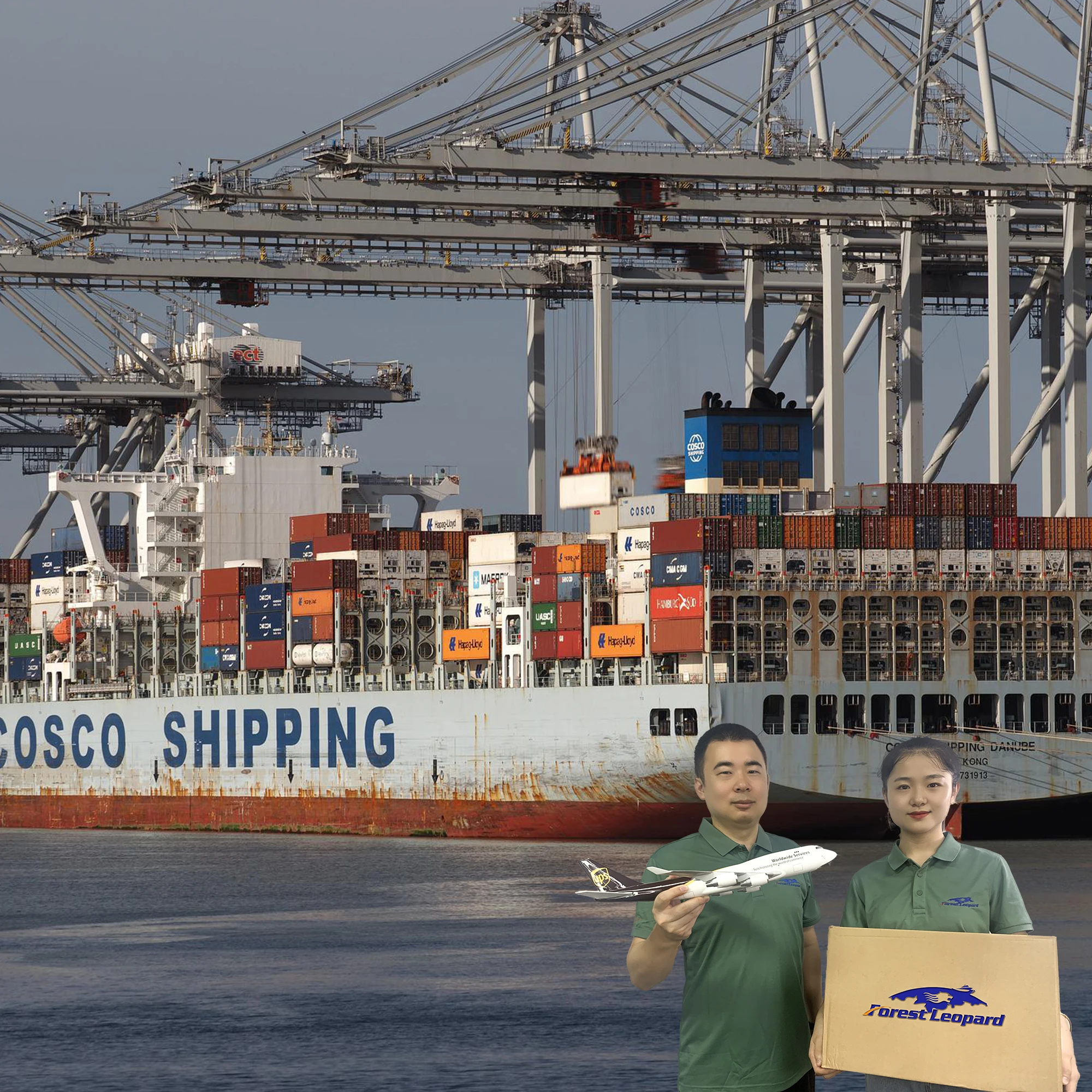 Maritime Ocean Container Ddp Sea Transport Shipping Freight Forwarder Agent Cargo Ship China to Usa Canada Uk