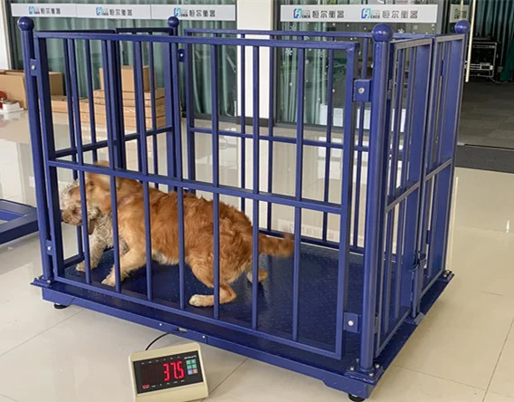 Premium quality digital animal pig cattle weight livestock weighing scale cage