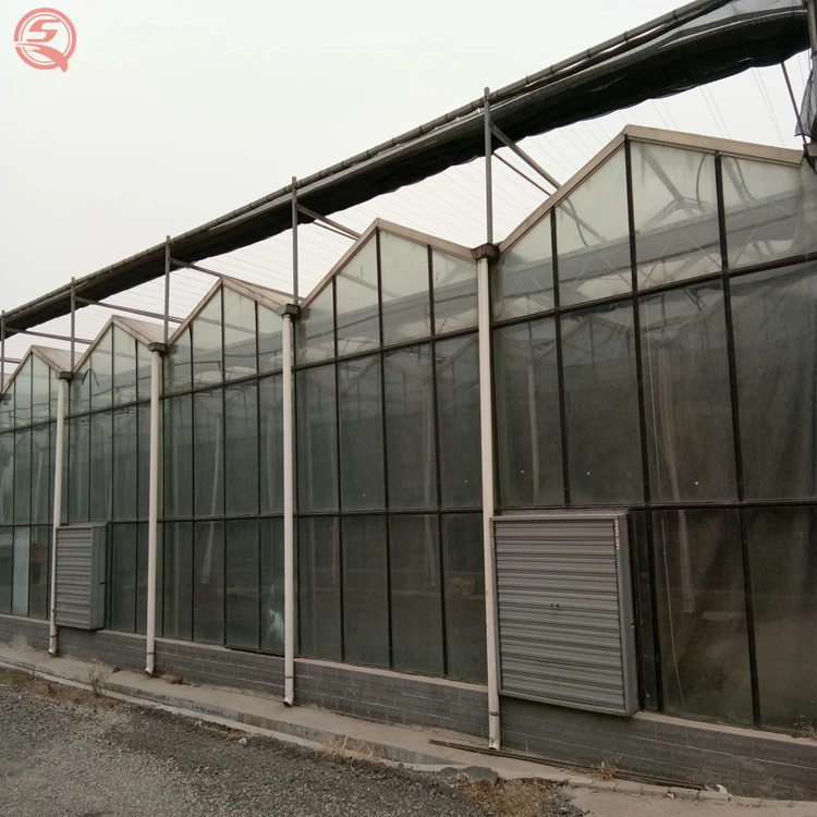 Китай поставщик хобби Aeroponic системы ПК лист сельскохозяйственных парниковых