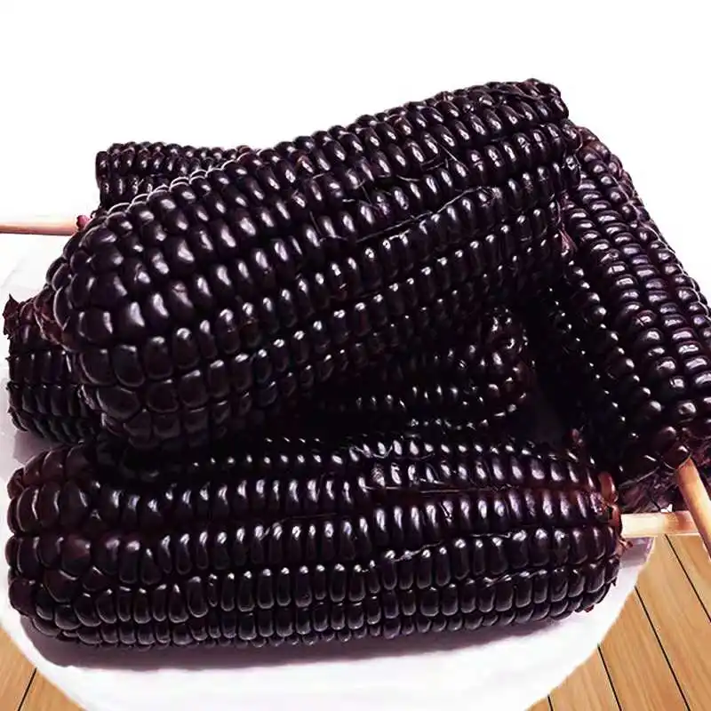 China factory sweet corn manufacturer fresh purple corn