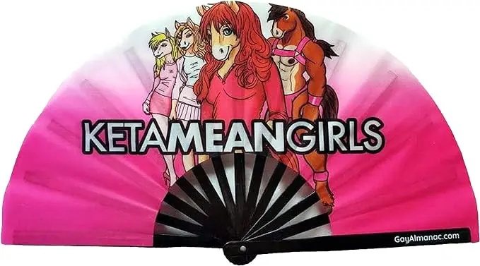 Customized Personalized Bamboo Fan  Large Folding Hand for Dance Party