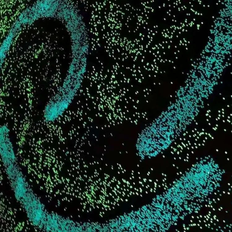 Садовая галька, светящаяся в темноте, изготовлена вручную с долгим послесолнечным свечением и долговечная для украшения