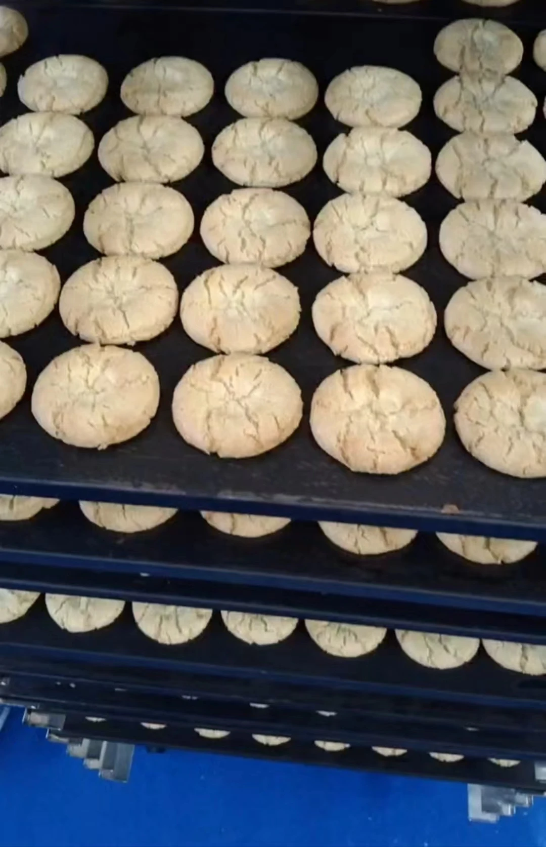 Deck oven Benchtop bakery cake bread cookie oven for factory