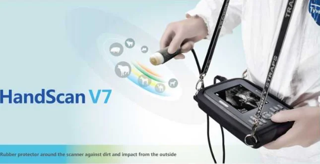 High Quality CRT Portable Veterinary Ultrasound Scanner Laptop Ultrasound Machine for Veterinary