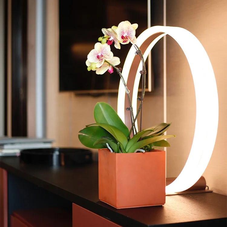 Wholesale Cheap Competitive Price Home Decoration Garden Inside Big Size Flowers Pots