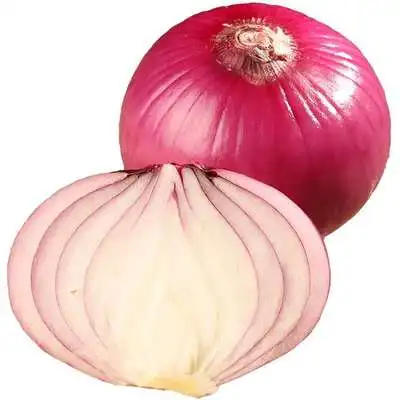 Quality Product bulk price fresh red and yellow onion of onion