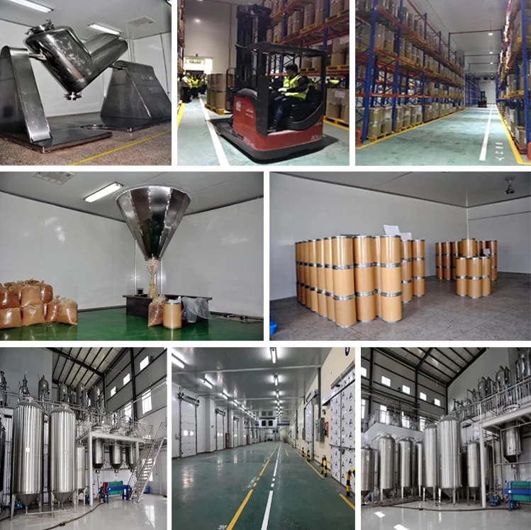 BCI. Factory Supply Sex Enhancer Horny Goat Weed 10% Epimedium Sagittatum Seeds Icariin Powder Epimedium Extract