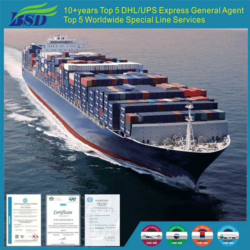 Professional Sea Freight Forwarder From China By Fast Shipping Competitive Price To Other Countries