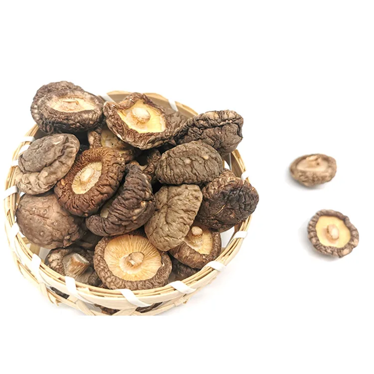 Wholesale Factory Sell Dried Shiitake Mushrooms 2-4cm Dry Mushroom