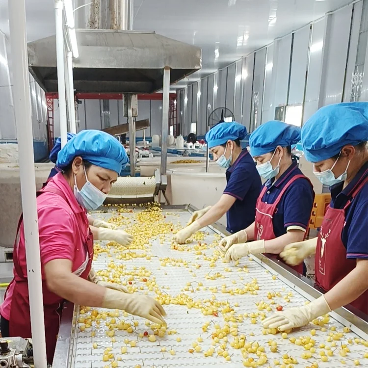 High quality and low price pure hand-preserved fresh white pickled pepper spicy pickles food vegetables canned