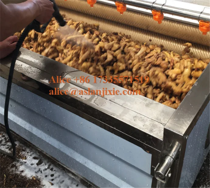 MSQX brush washer32.png