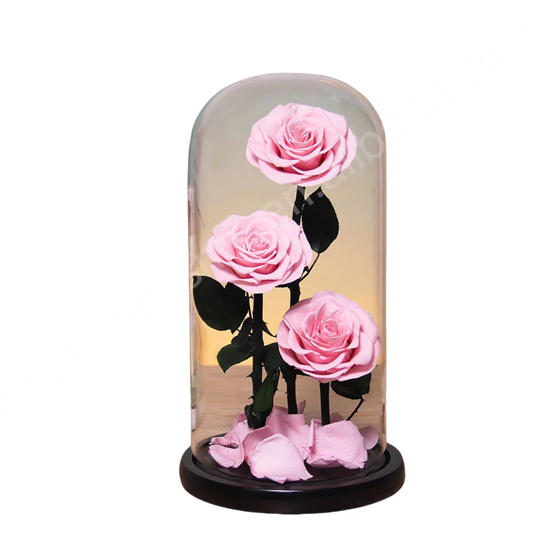 Factory Directly Supply 2024 Hot Selling Eternal Rose Morthers Day Preserved Flower Forever Roses In Glass Dome Led