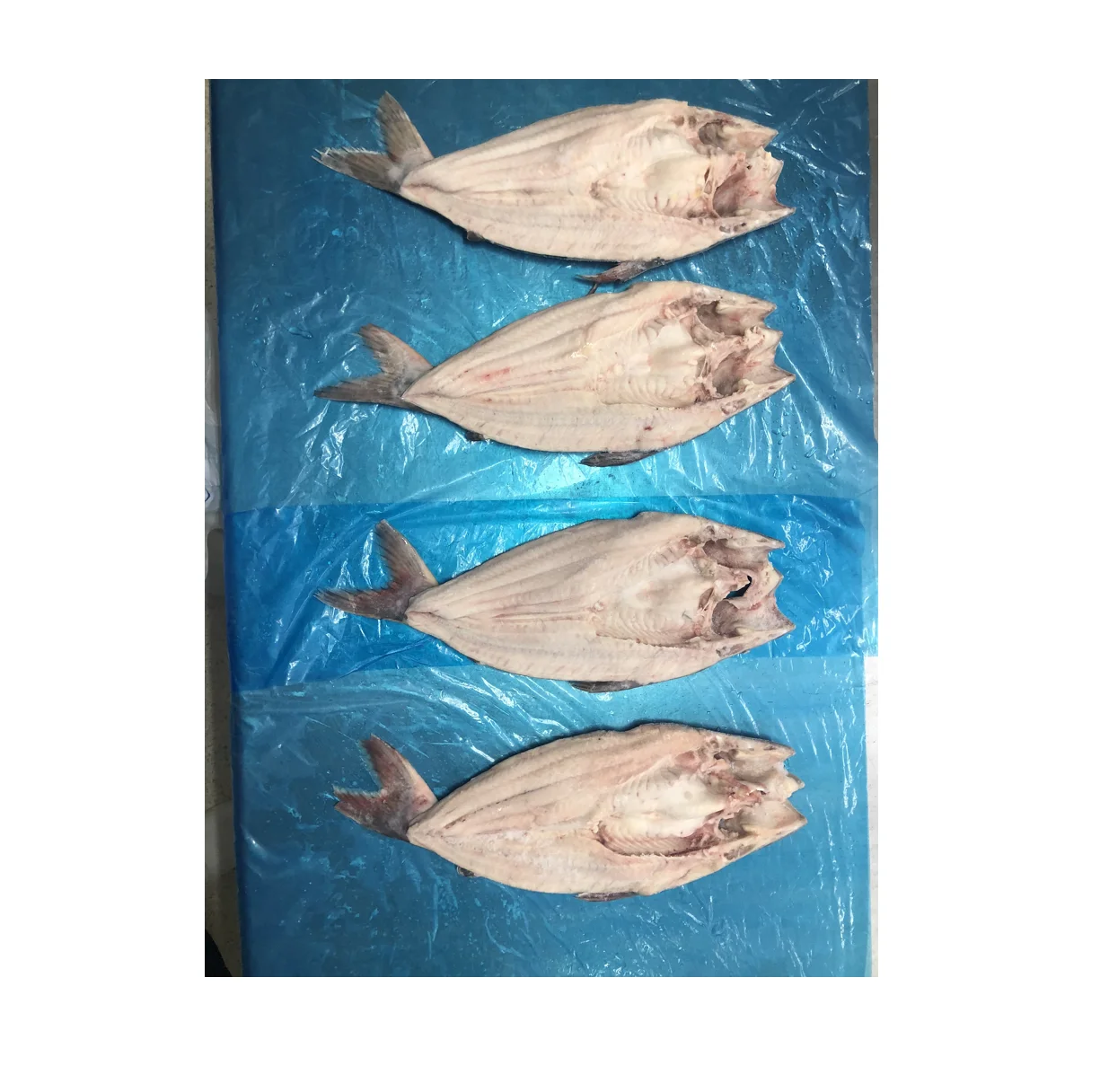 Frozen Fish Pangasius Butterfly High Quality For Vietnam Seafood