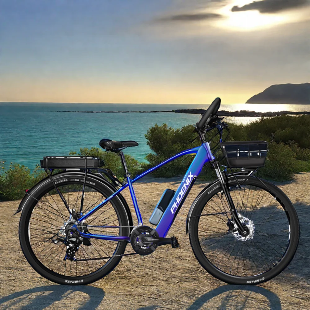 29 Inch Frame Powerful Motor 36v 350w Enduro e-Bike Fast Electric Mountain Bicycle