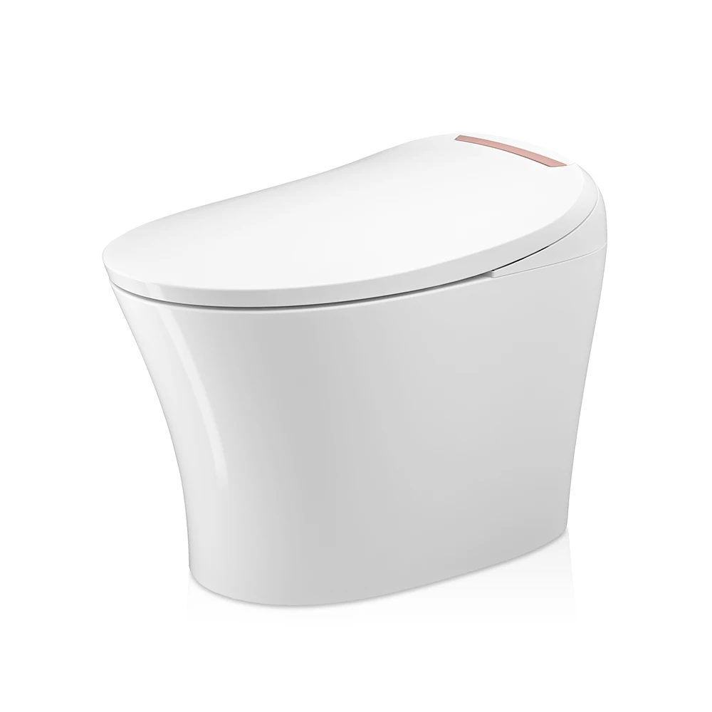 TEJJER Watermark certification tankless auto toilet cleaner smart toilet bowl ceramic