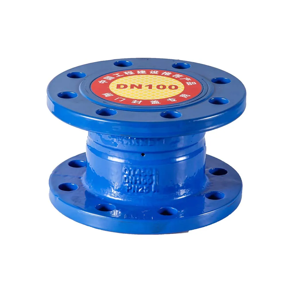 Stainless Steel 304 Cf8m Bsp Thread Vertical Spring Loaded Non Return Check Valve 1000wog