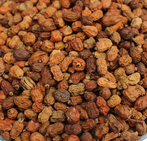 Bulk cheap price Red Chinese raw spice Galanga Galangal fruits for sale