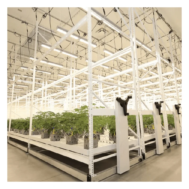 Indoor Growing Multi Floor Plant Racks Racking System Vegetable Mobile Vertical Grow Multilayer Rack