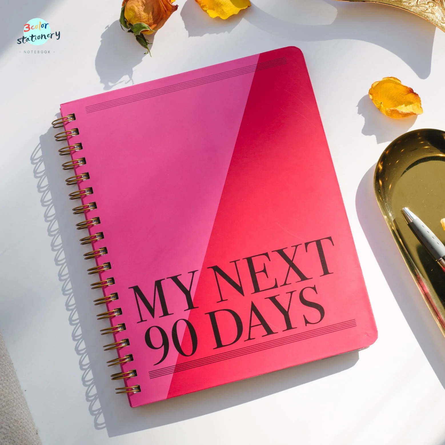 
3Colorstationery Stylish 8 x 10