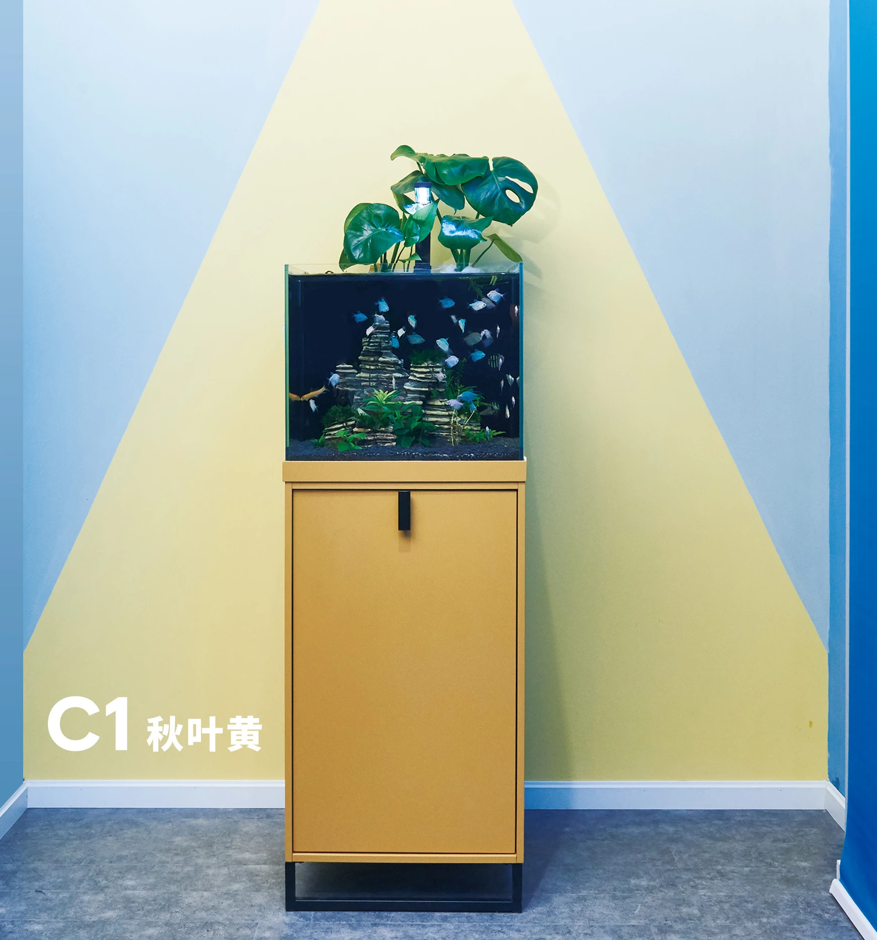 aqurium fish tank fish tank aquarium fish tank plastic